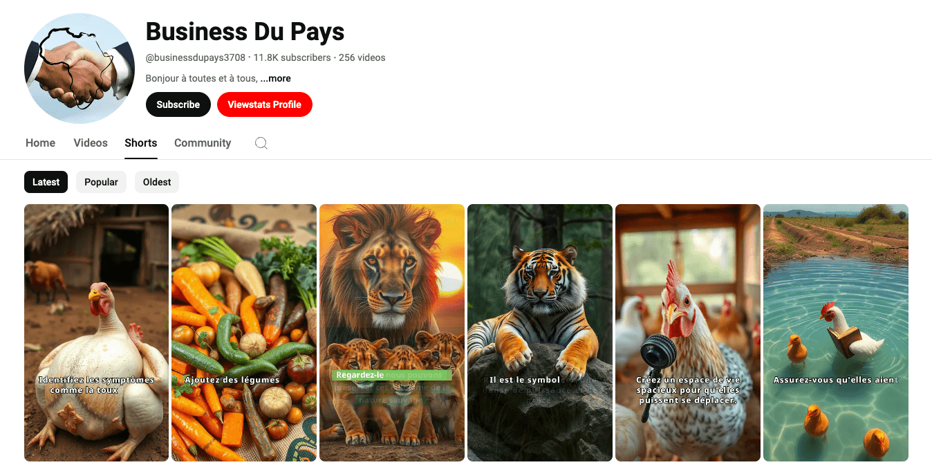 Business Du Pays YouTube channel